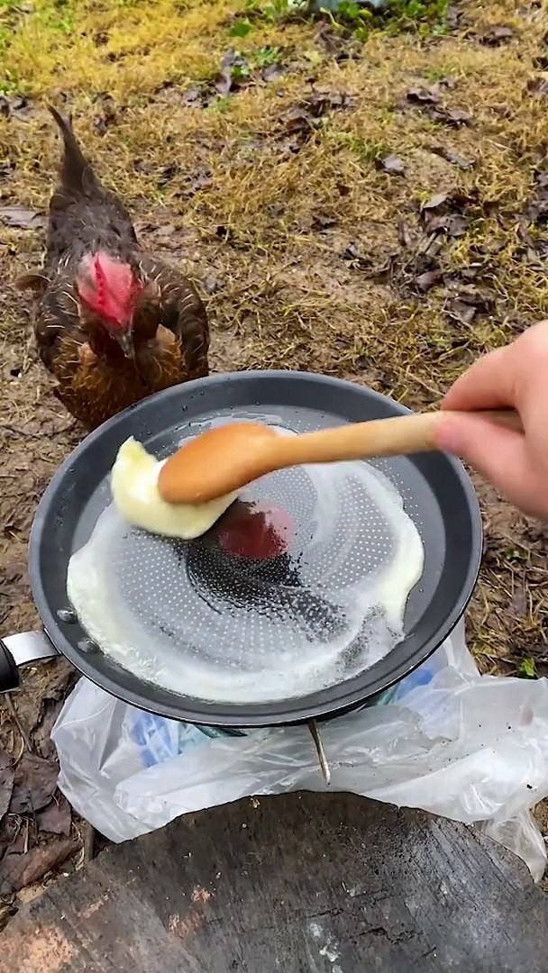 Cooking chicken