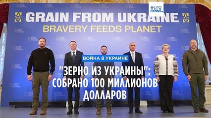 "Зерно из Украины": собрано 100 миллионов долларов