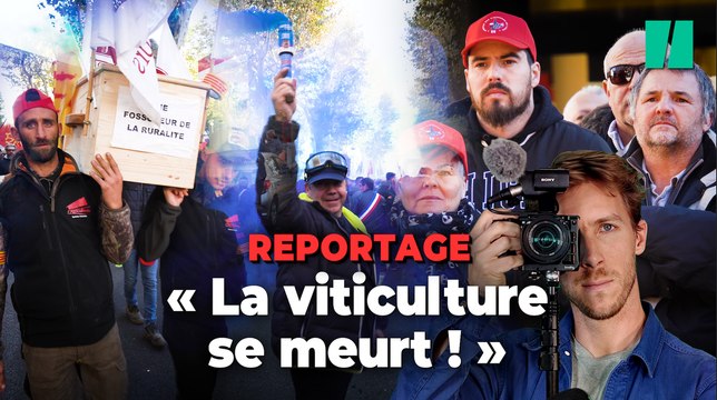 À Narbonne, on a suivi les vignerons à bout de souffle face à l’inflation, la sécheresse et le prix du vin