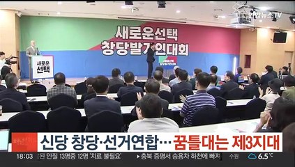 신당 창당·선거연합…꿈틀대는 제3지대