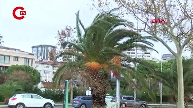KADIKÖY VE KÜÇÜKÇEKMECE'DE FIRTINANIN ETKİSİYLE DEV DALGALAR OLUŞTU