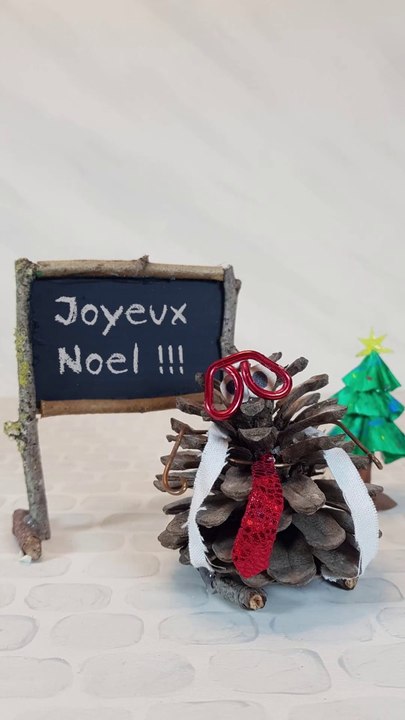 Les Oranges de Noël -Professeur Pin