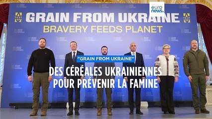 "Grain from Ukraine" : des céréales ukrainiennes pour prévenir la famine