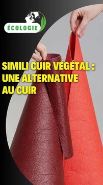 Simili cuir végétal : une alternative au cuir