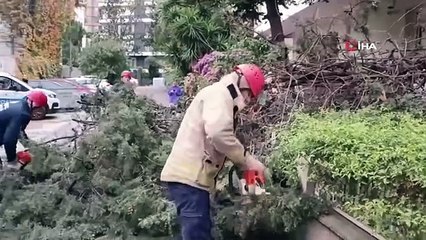 Video herunterladen: İstanbul'da şiddetli yağış ve rüzgar nedeniyle Kadıköy'de ağaç 3 katlı binanın duvarına devrildi