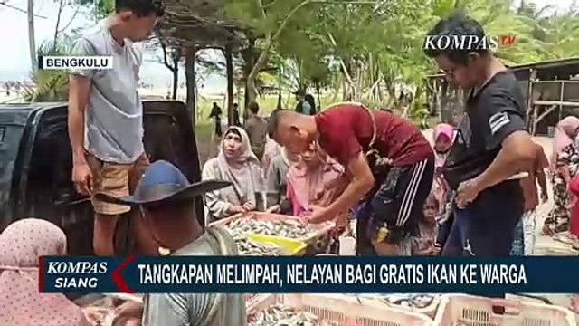 Hasil Tangkapan Melimpah, Nelayan di Bengkulu Bagi-Bagi Ikan Gratis ke Warga