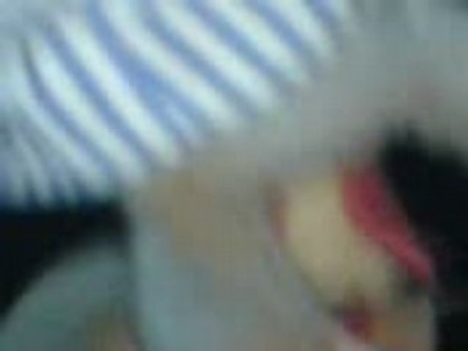 MOV00024
