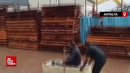 Antalya'da dere taştı iş yerleri ve tarlaları su bastı