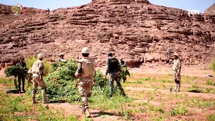 القوات المسلحة  تنفذ عدة حملات مكبرة للبحث والتفتيش على الزراعات المخدرة بسيناء