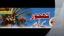 حیرت انگیز ہیں کھجوروں کے فوائدThe benefits of dates are amazing