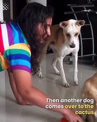 372658292_682488093757406_6401807656978261707_n