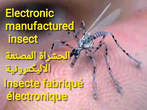 Electronic insects and hidden spy cameras # Insectes électroniques et caméras espions cachées الحشراة الاليكترونية و كامرات التجسس المخفية
