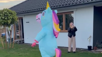Blue and pink unicorns tussle it out to reveal soon-to-arrive baby's gender