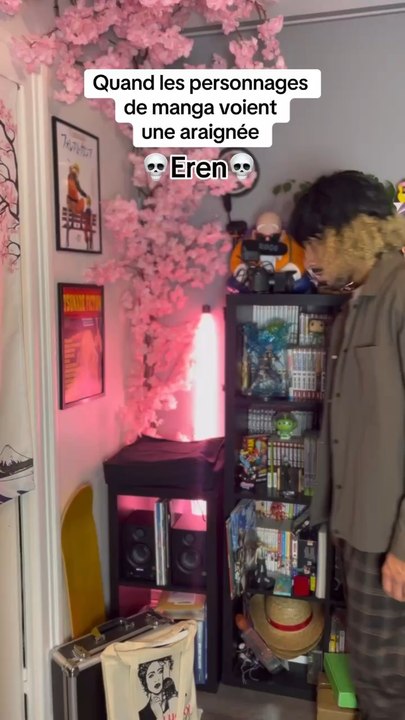 Quand les perso de MANGA voient une araignée