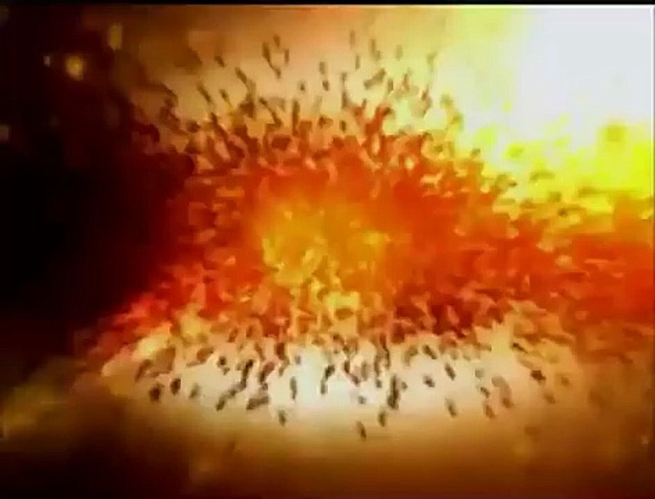منم سرگشته حیرانت ای دوست _ حسین کشتکار بوشهری-360p