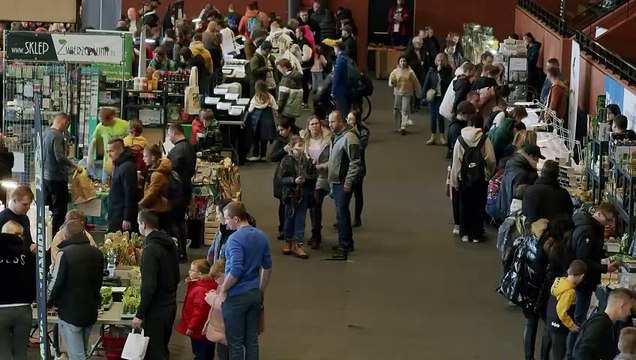 Kraków - terra animals - targi zwierząt terariowych