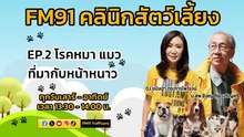 โรคหมาแมวที่มากับหน้าหนาว EP.2 : FM91 คลินิกสัตว์เลี้ยง : 26 พฤศจิกายน 2566