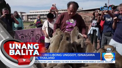 Pista para sa libo-libong unggoy, isinagawa sa Lopburi, Thailand | UB