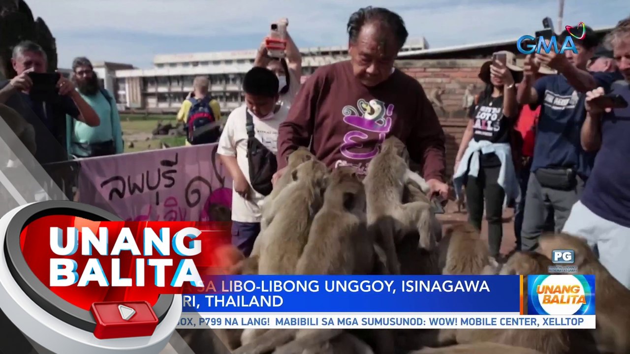 Pista para sa libo-libong unggoy, isinagawa sa Lopburi, Thailand | UB