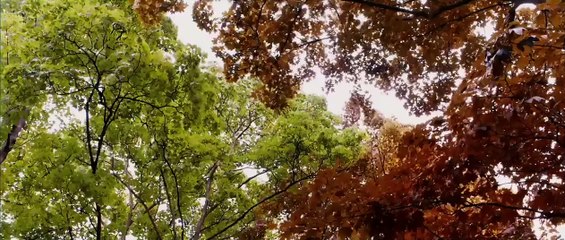 La Vie d'Adèle - Chapitres 1 et 2 Bande-annonce (DE)