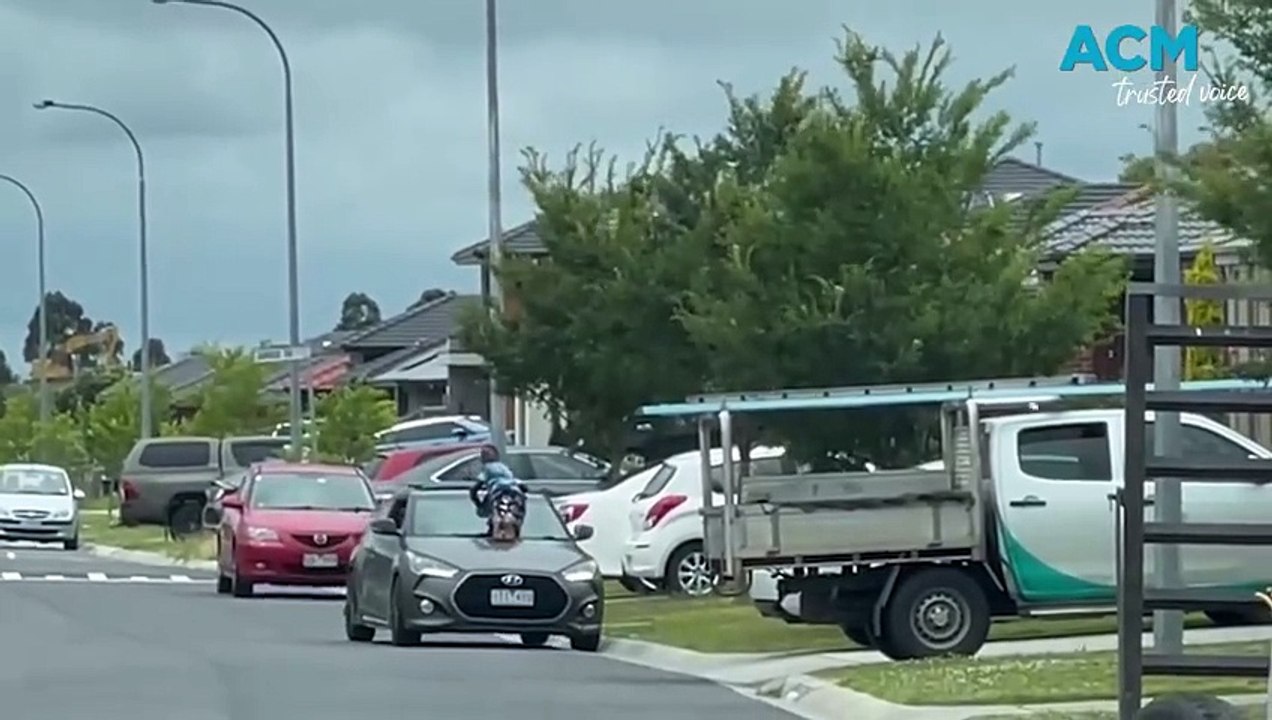 Boy filmed on moving car's windscreen