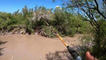 Increible la PESCA de BAGRES en este ARROYO | Bagre Moncholo asado a la parrilla | Video de Pesca y Cocina