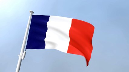 France Waving Flag