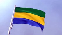 Gabon Waving Flag