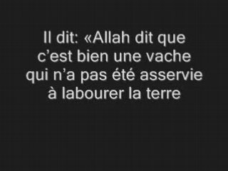 L'histoire de la vache