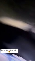 भोपाल में फिर दिखा टाइगर