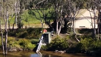 Government strikes Murray-Darling Basin deal with Greens