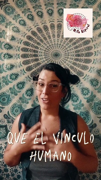 Sinastria web