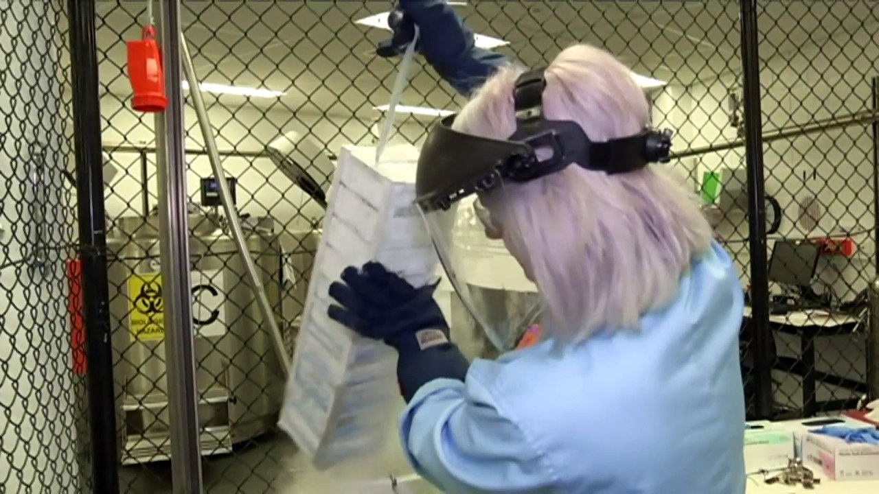 Government opens up consultation on the use of genetic testing amid ...