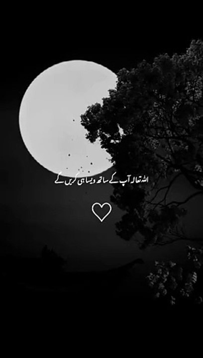 islamic videos #islamicvideo #islamicstatus #shortvideo #shorts #islamicshorts