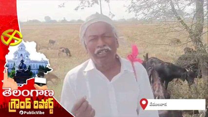 వేములవాడ: మా పెద్ద కొడుకు కేసీఆర్.. మళ్లీ బీఆర్ఎస్ కే మా ఓటు.. వీడియో
