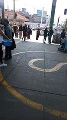 Perrito sorprende al dormir de peculiar forma en la calle