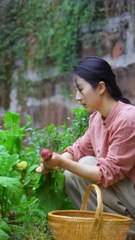 Today I plucked a lot of turnips from the farm and after coming home made mixed pickle from them, wonderful cooking recipe.
