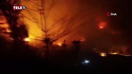 Trabzon'da orman yangını kontrol altına alındı! 3 itfaiye eri hastaneye kaldırıldı   2