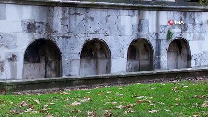 Dünyada ilk hayvan hakları beyannamesi Osmanlı döneminde yürürlüğe girdi