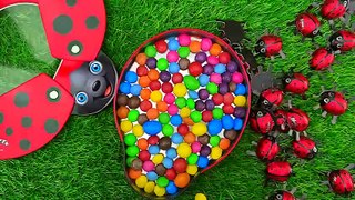 Best_Satisfying_ASMR___Rainbow_Fruit___Colorful_M_M_s_with_LadyBug_Full_of_Skittles_Candy_%23634(480p)