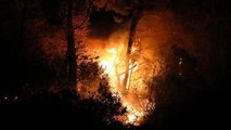 Trabzon'da orman yangını: 17 ev tedbir amaçlı boşaltıldı