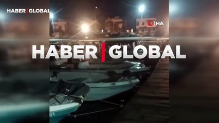 Su samurunun kediyi kovaladığı anlar sosyal medyada gündem oldu