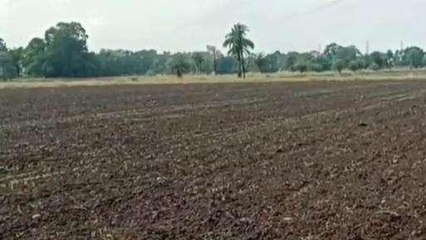 धार: तेज हवा के साथ हुई बारिश,किसानों के खिले चेहरे, मिलेगा फायदा