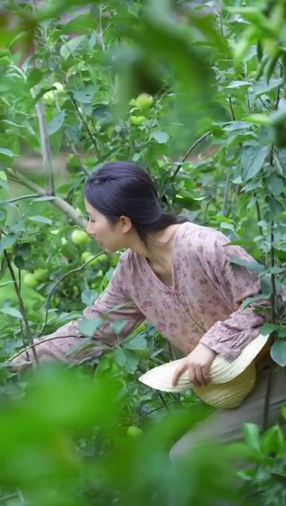 Today I plucked a lot of apples from the farm and after coming home made mixed pickle from them, a wonderful cooking recipe.