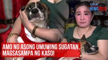 Amo ng asong umuwing sugatan, magsasampa ng kaso! | GMA Integrated Newsfeed