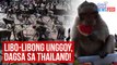 Libo-libong unggoy, dagsa sa Thailand! | GMA Integrated Newsfeed