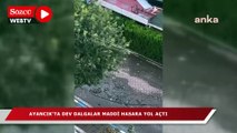 Sinop'un Ayancık ilçesinde dev dalgalar maddi hasara yol açtı