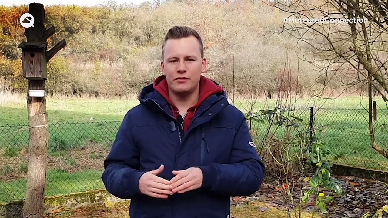 Wintereinbruch in Deutschland! Es wird kalt und gibt Schnee! Frost und Glätte setzen sich durch!