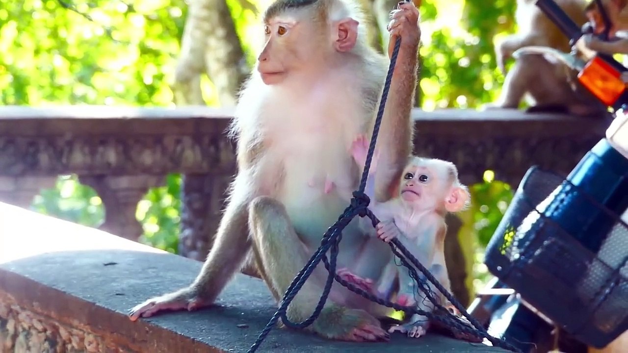 Fear for safety of baby, Moly escape Money rapidly and fall him hit the ground, Money is Scared