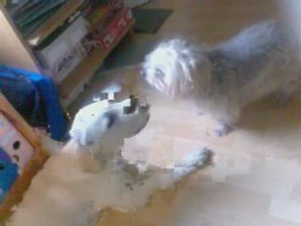 Cali Vs Jordy 30/03/2008